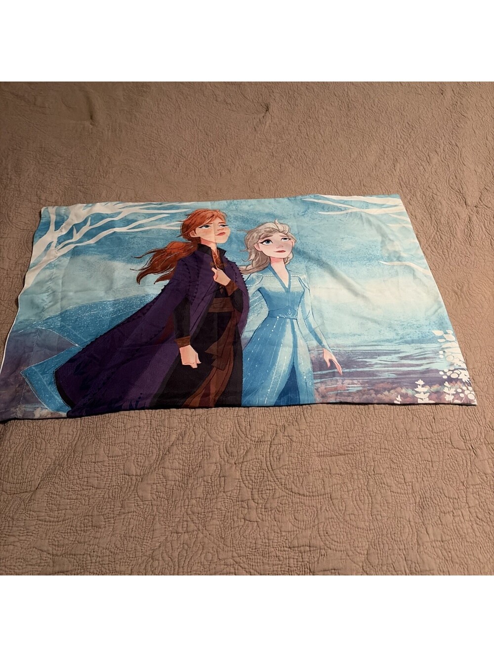 Disney Frozen II "Journey of Truth" 2 Standard Reversible Pillowcases